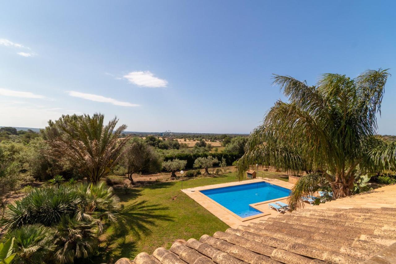 Ferienhaus Ses Salines - 38370 Mallorca1